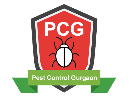 Pest Control Gurgaon